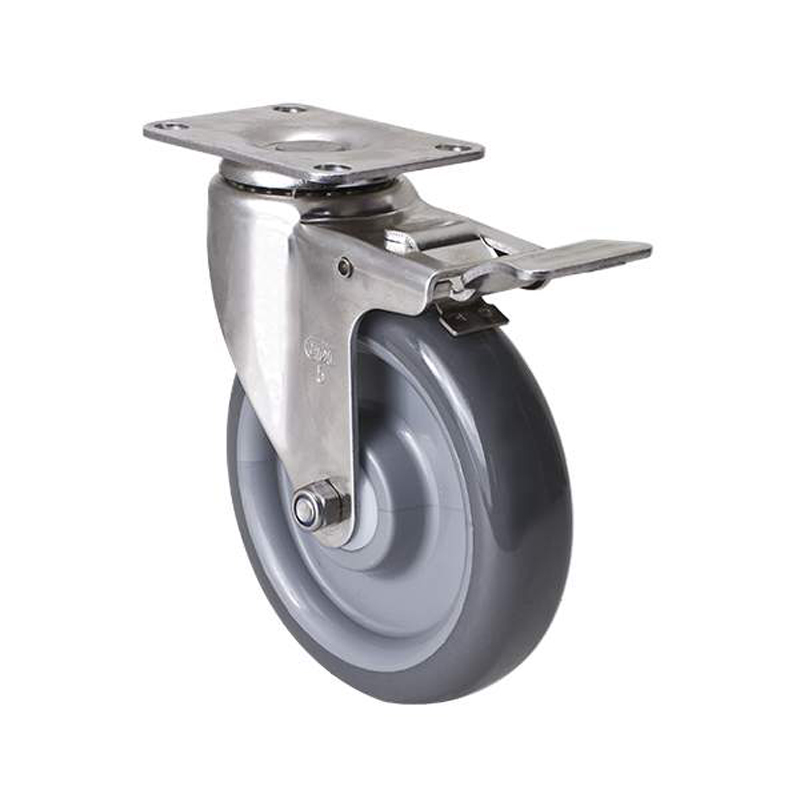 EDL Stainless Steel Medium 5